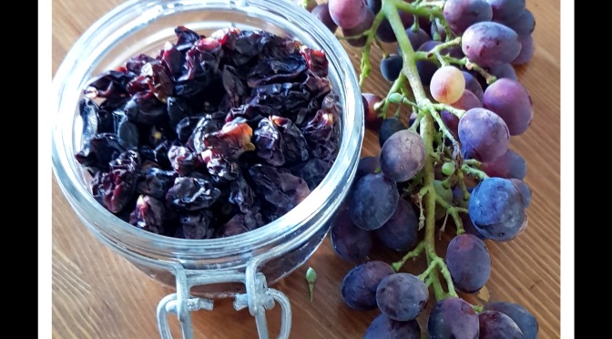 Getrocknete  Weintrauben – Rosinen