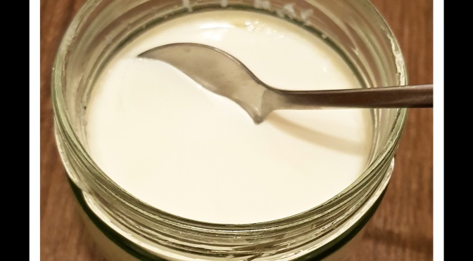 Joghurt aus dem Dörrautomaten
